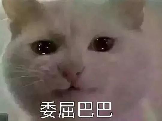 愤怒的奶奶大战猫恶作剧中文版下载-愤怒的奶奶大战猫恶作剧官方正版手游下载v.2.38
